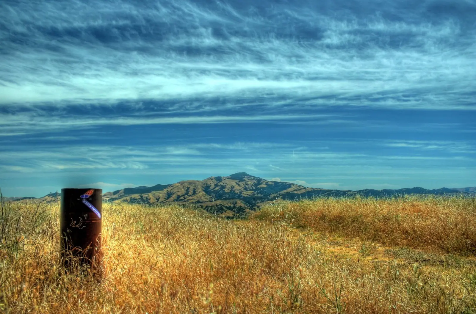 Mount Diablo from the valley