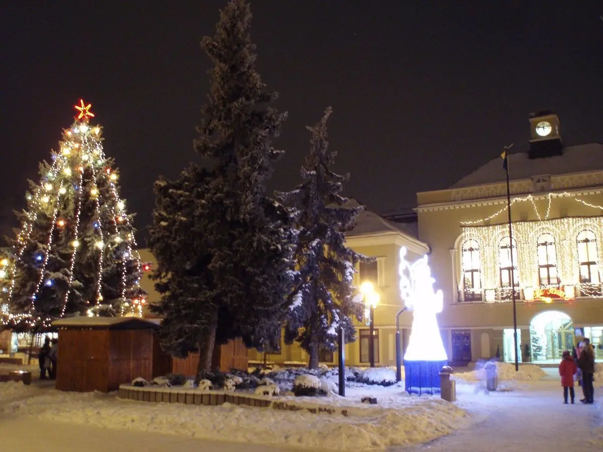 Lighting of the Old Oak Tree