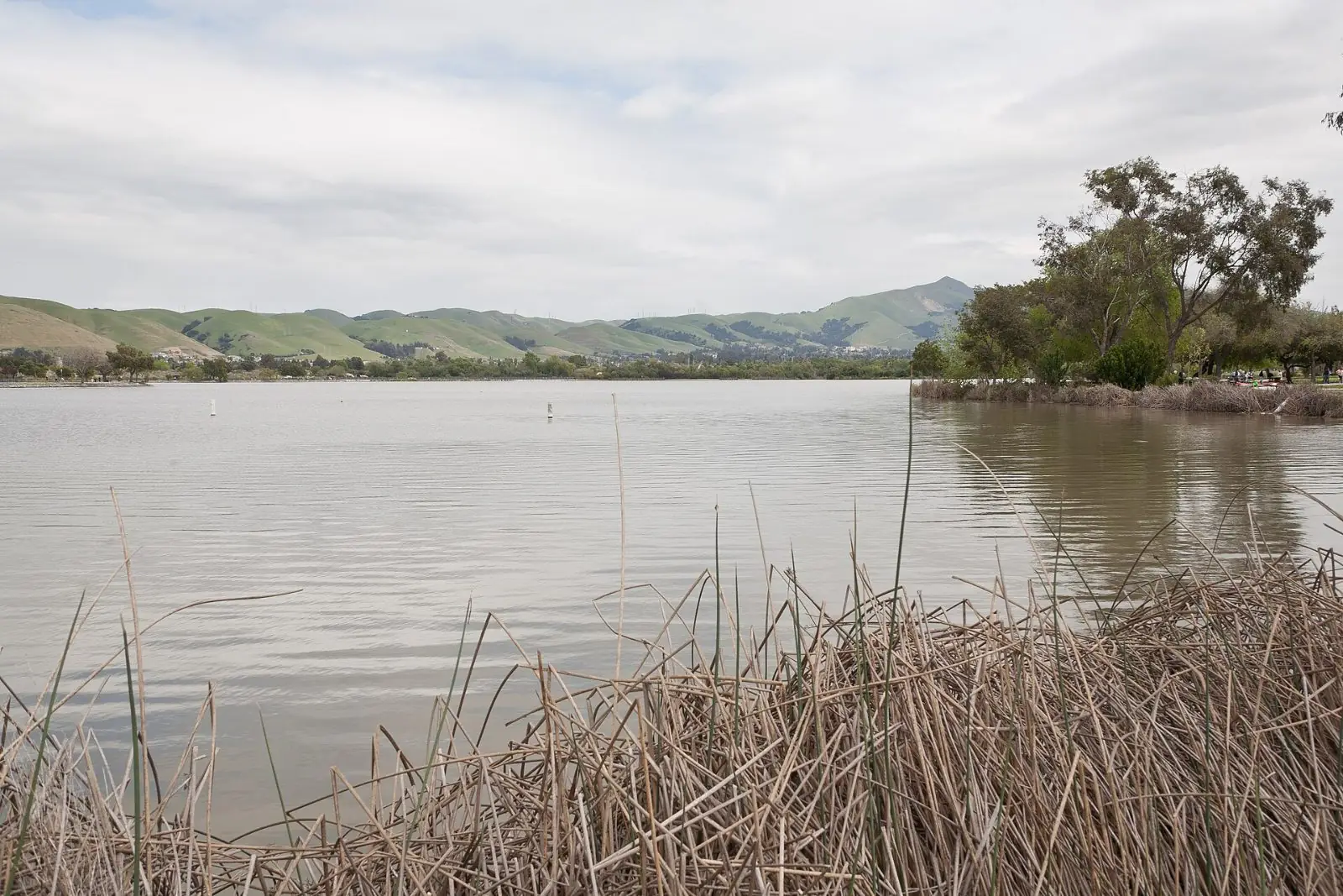 Central Park and Lake Elizabeth, Fremont