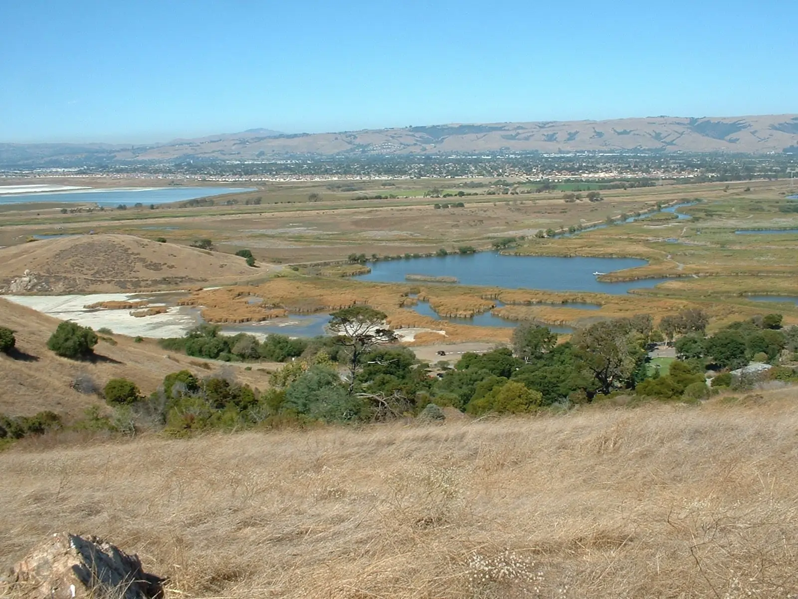 Coyote Hills, Fremont