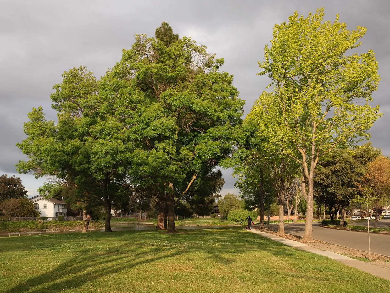 Lakeshore Park
