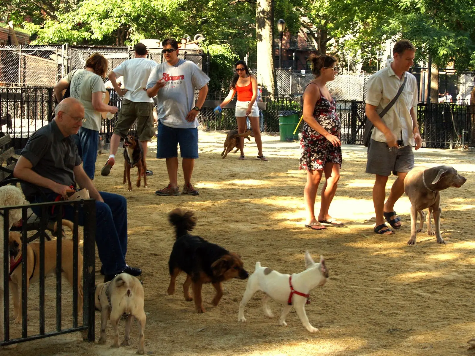 Drigon Dog Park